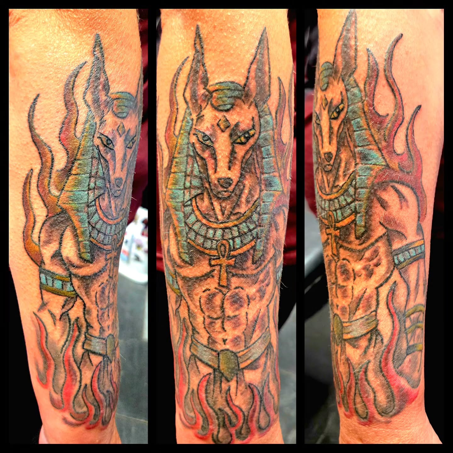 Colour Anubis tattoo shown from three angles on a forearm