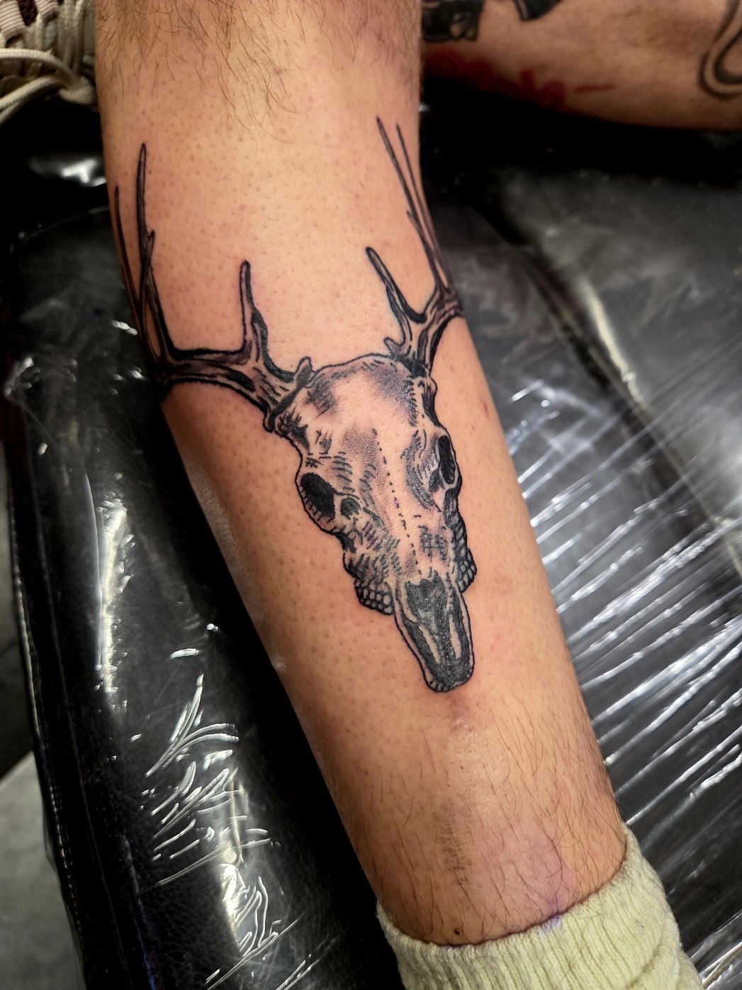 Fine-line longhorn skull tattoo