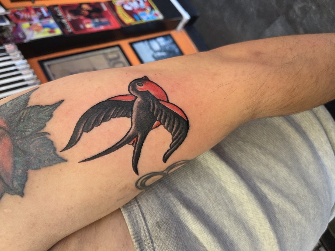 Black and red traditional swallow tattoo